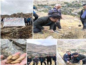 600 بذر بلوط در دامنههاي طاقبستان به ياد 60 اهداکننده عضو استان کرمانشاه کاشته شد