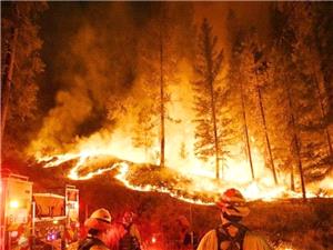 آتشسوزی جنگلها در استرالیا؛ تخریب هزاران هکتار و هشدار تخلیه برای ساکنان