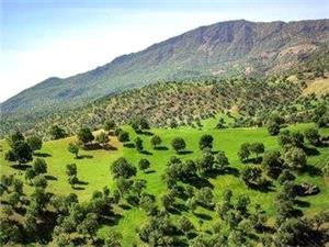 مدير کل ميراث فرهنگي و گردشگري وصنايع دستي استان کرمانشاه:رويداد «سوگند با بلوط» کرمانشاه در فهرست رويدادهاي گردشگري کشور ثبت شد