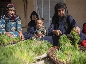 مدير کل ميراث فرهنگي و گردشگري وصنايع دستي استان کرمانشاه:جشنواره سمنوپزان صحنه در فهرست رويدادهاي گردشگري کشور ثبت شد