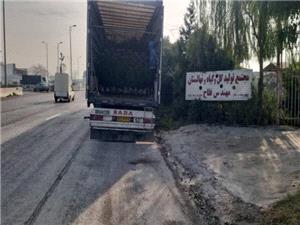 صادرات 30 ميليارد ريالي گل و گياه و درختچههاي زينتي از گلخانههاي آمل