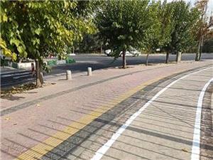 تردد ايمن شهروندان با احداث پيادهرو در بلوار شهيد دادمان