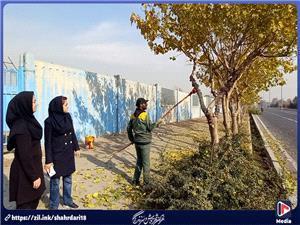 اجرای عملیات هرس گونههای گیاهی در حاشیه بزرگراههای جنوبغرب پایتخت