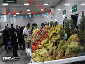 کنترل قیمت و کیفیت اقلام یلدایی در میادین میوه و ترهبار + نرخ اقلام