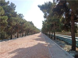  فاز جنوبي پياده راه شهرک شهيد محلاتي در منطقه يک به اتمام رسيد