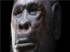 اکتشافات أثریه تعید النظر فی أول هجره بشریه خارج إفریقیا