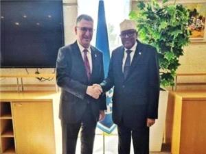 افشای سفر محرمانه رئیس سومالیلند به تلآویو