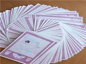 اخذ 111 فقره سند تک برگ براي اراضي ملي در اميديه خوزستان