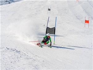 اعزام نمایندگان ایران به بازیهای المپیک زمستانی ایتالیا