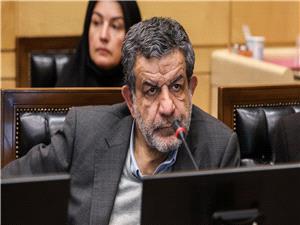 ضعف عملکرد وزارت صمت در اجرای قانون واردات خودرو