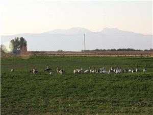 پیش از آغاز فصل زراعی جدید مشکلات کشاورزان مرتفع شود