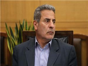 دولت برای جلوگیری از تبدیل گندم به خوراک دام نرخ خرید تضمینی را اصلاح کند