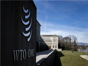 WTO must `reform or die`: talks facilitator