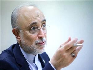 علیاکبر صالحی: تصمیمگیریها سریع و صائب باشد