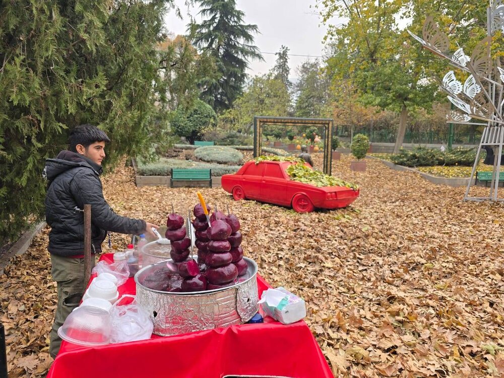 خبرگزاری آریا