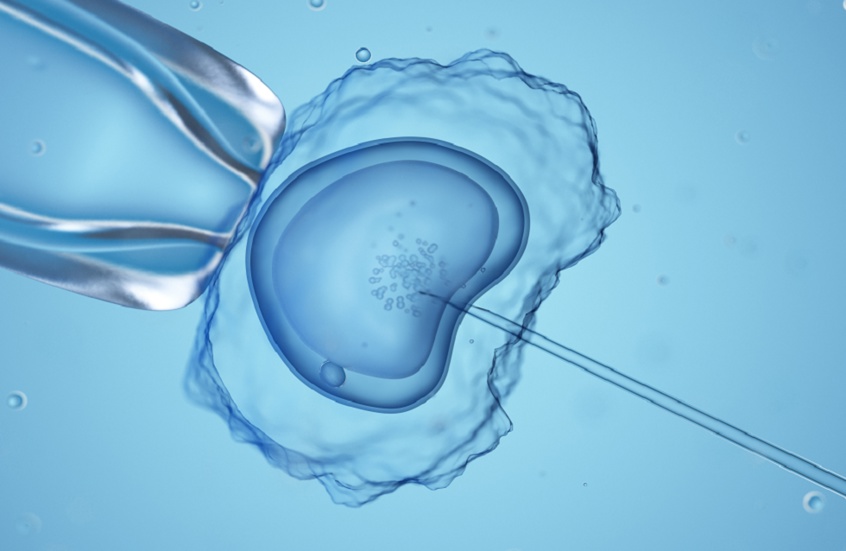 وکاله آریا للأنباء