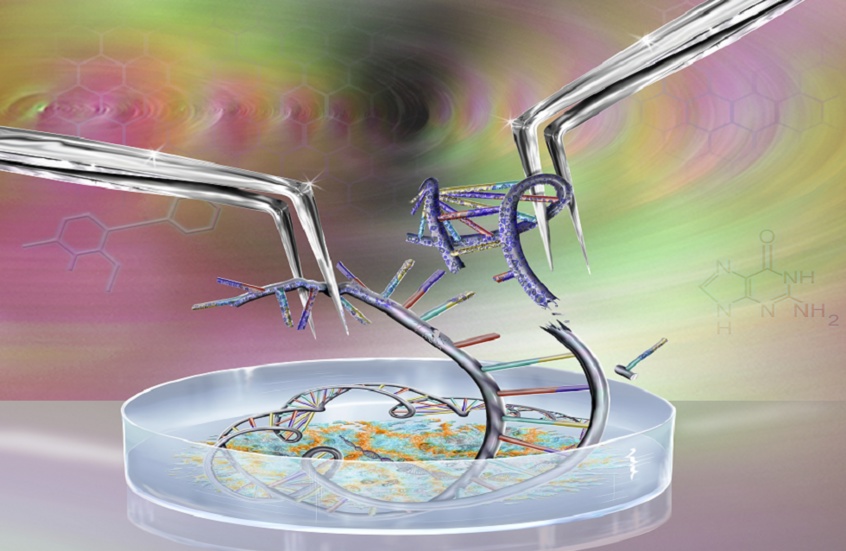 وکاله آریا للأنباء