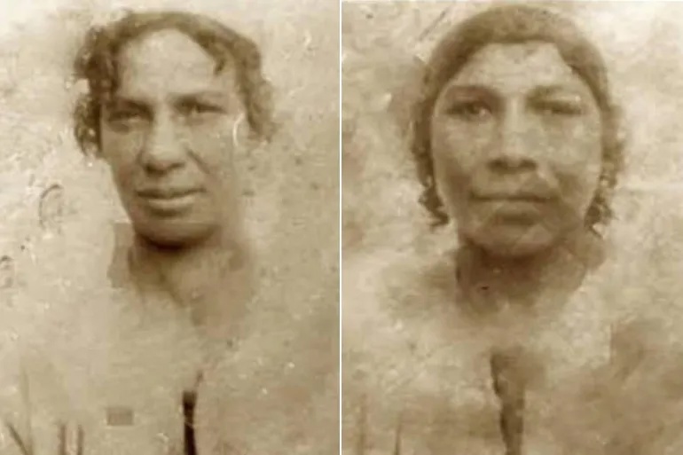 وکاله آریا للأنباء