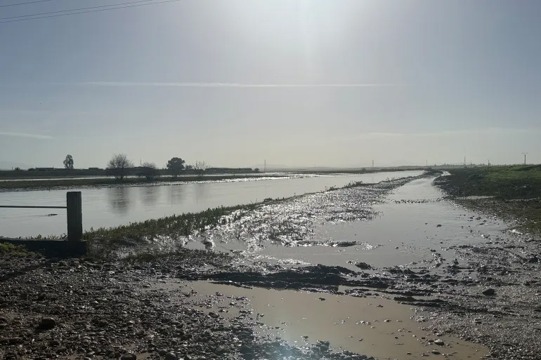 وکاله آریا للأنباء