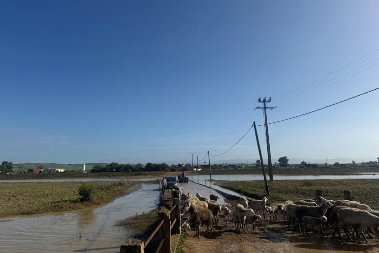 وکاله آریا للأنباء