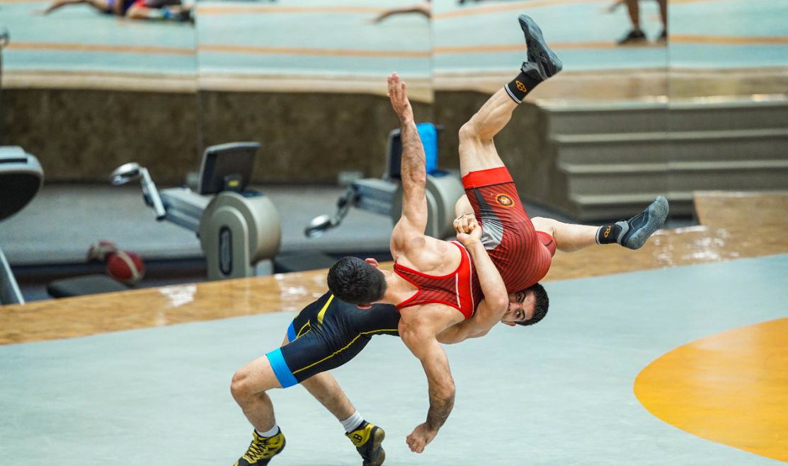 خبرگزاری آریا