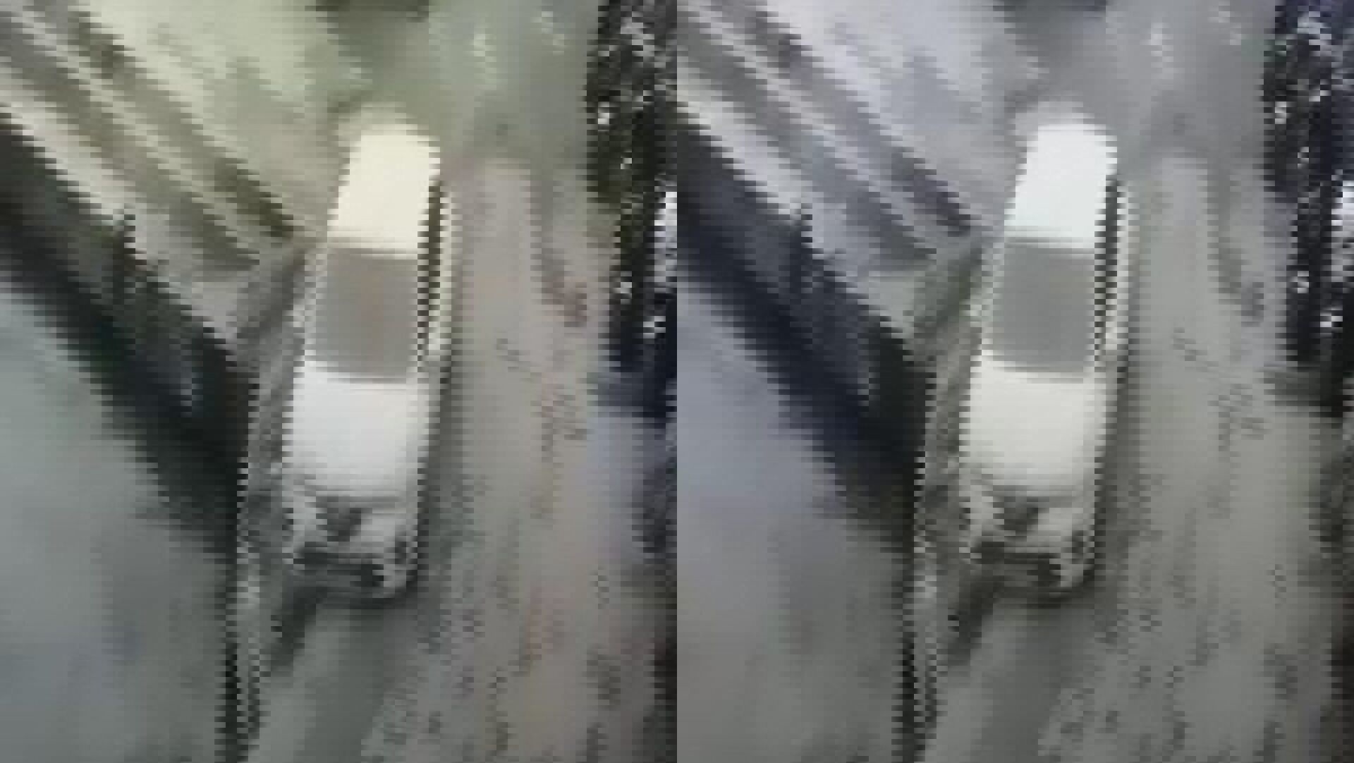 وکاله آریا للأنباء