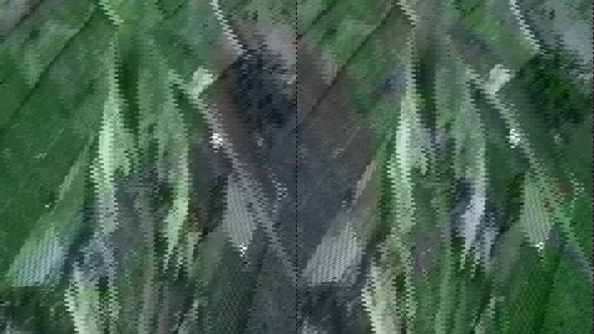 وکاله آریا للأنباء